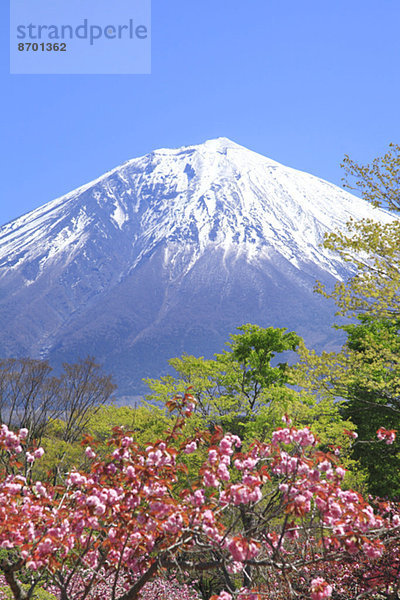 Fujisan