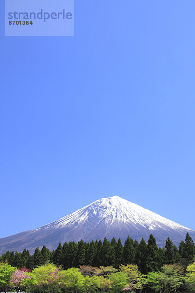 Fujisan