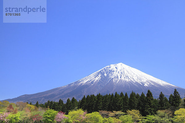 Fujisan