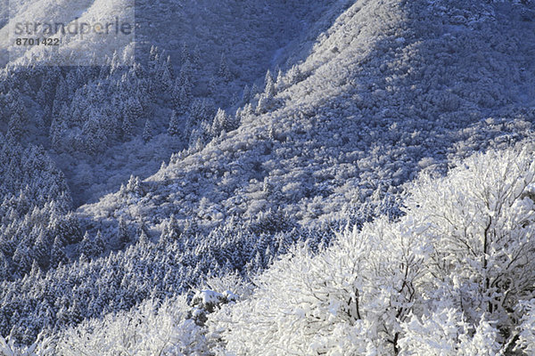 Shizuoka Präfektur