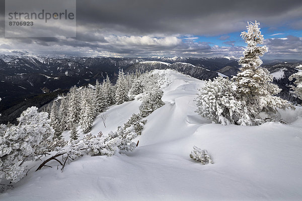 Wildkamm mit tief verschneitem Winterwald  Niederalpl  Mürzsteger Alpen  Steiermark  Österreich