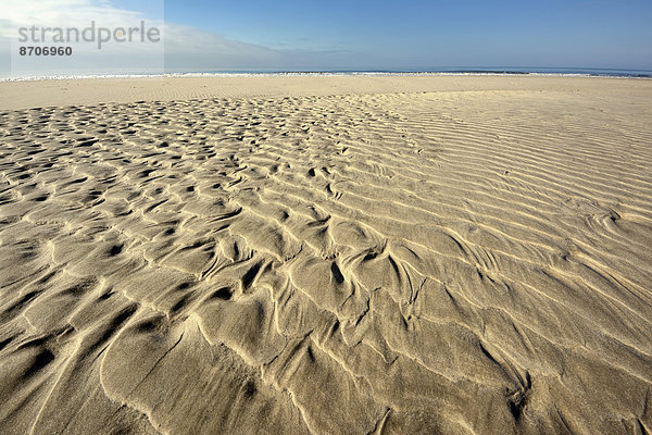 Sandrippelmuster am Strand  bei Hvide Sande  Jütland  Dänemark