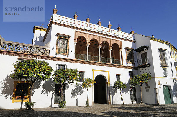 Casa de Pilatos  Stadtpalast  Museum  Sevilla  Provinz Sevilla  Andalusien  Spanien