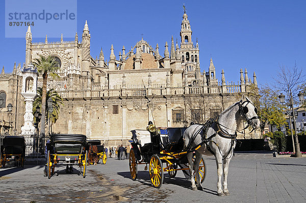 Pferdekutsche  Plaza del Triunfo Platz  Santa Maria de la Sede Kathedrale  Sevilla  Andalusien  Spanien