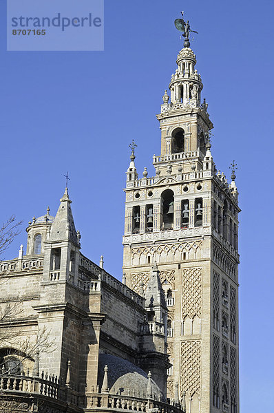 La Giralda  Glockenturm  Kathedrale von Sevilla  Catedral de Santa Maria de la Sede  Sevilla  Andalusien  Spanien