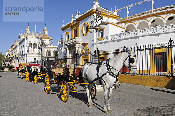 Pferdekutschen  Plaza de Toros de la Maestranza  Stierkampfarena  Museum  Sevilla  Andalusien  Spanien