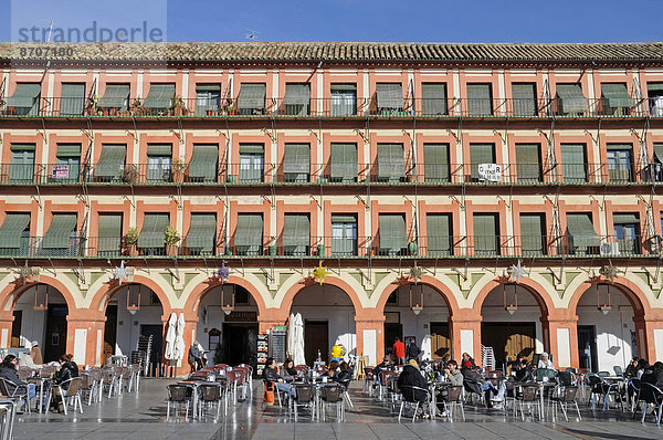 Straßencafes auf der Plaza de la Corredera  Córdoba  Andalusien  Spanien