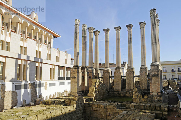 Templo Romano  römischer Tempel  Säulen  Ruinen  Cordoba  Provinz Cordoba  Andalusien  Spanien