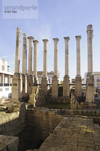 Templo Romano  römischer Tempel  Säulen  Ruinen  Cordoba  Provinz Cordoba  Andalusien  Spanien
