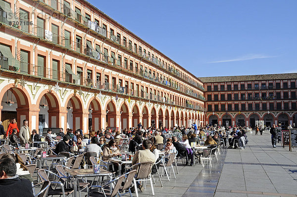 Straßencafes auf der Plaza de la Corredera  Córdoba  Andalusien  Spanien