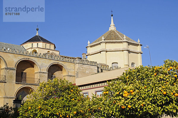 Mezquita  Moschee  Kathedrale  Cordoba  Provinz Cordoba  Andalusien  Spanien