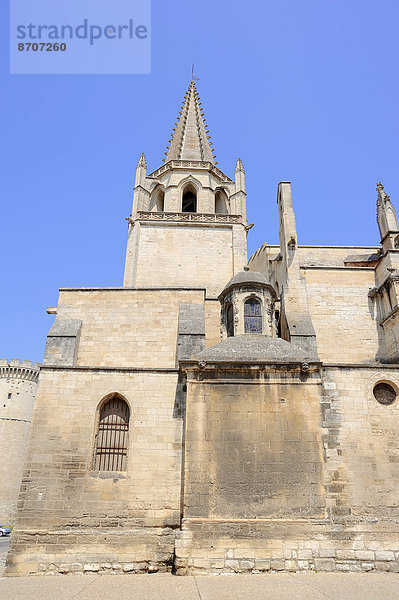 Kirche Collegiale Sainte Marthe  Tarascon  Bouches-du-Rhone  Provence-Alpes-Cote d'Azur  Südfrankreich  Frankreich