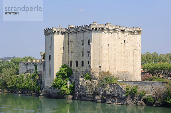 Burg Chateau Royal de Tarascon oder Chateau du Roi Rene an der Rhone  Tarascon  Bouches-du-Rhone  Provence-Alpes-Cote d'Azur  Südfrankreich  Frankreich