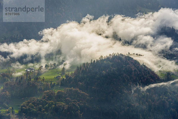 Wolke Wald Wiese Beatenberg Berner Oberland Kanton Bern Schweiz