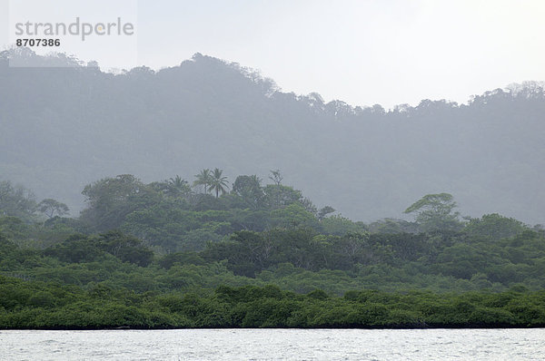 Mangroven an der Küste  nahe Isla Palina  Provinz Colón  Panama