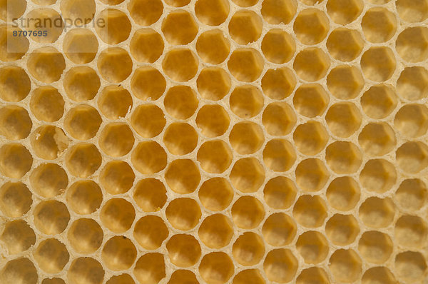 Honigwaben