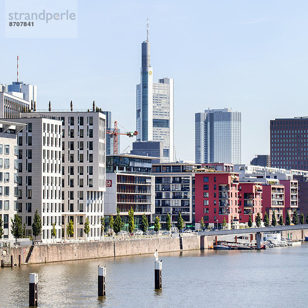 Wohngebäude mit Luxuswohnungen im Frankfurter Westhafen mit dem Hochhaus der Commerzbank AG  Frankfurt am Main  Hessen  Deutschland