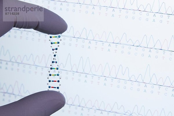 Modell eines DNA-Moleküls  DNA-Sequenzierung im Hintergrund