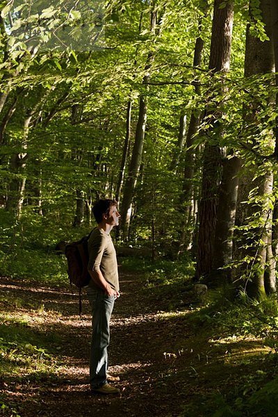 Erwachsener Wanderer im Wald stehend