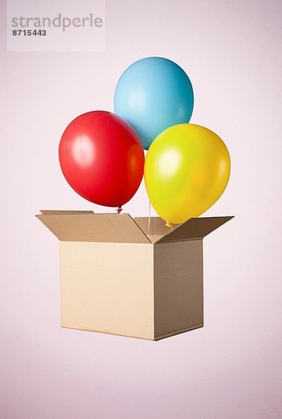 Studioaufnahme eines Kartons mit herauskommenden Luftballons