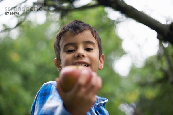 Männliches Kleinkind im Garten mit einem Apfel