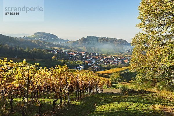 Europa  Baden-Württemberg  Deutschland