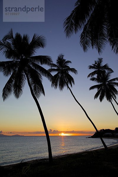 Strand  Sonnenuntergang  Baum  Karibik  Westindische Inseln  Mittelamerika  Jungfrau Maria  Madonna  Leeward Islands
