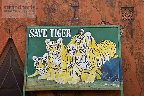 Nationalpark Tiger Panthera tigris Poster Rajasthan