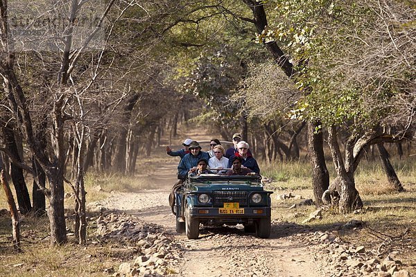 Verkehr  Tagesausflug  Tourist  Geländewagen  Suzuki  König - Monarchie  Ökologie  Zigeuner  Rajasthan