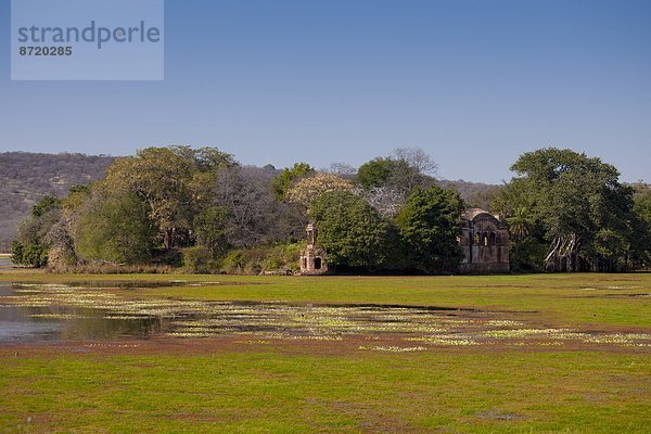 See  Lodge  Landhaus  Jagd  Jaipur  Rajasthan