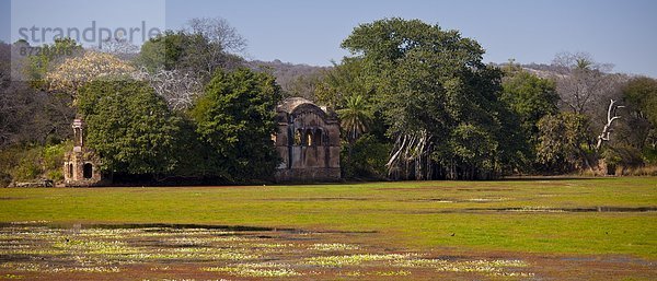 See  Lodge  Landhaus  Jagd  Rajasthan