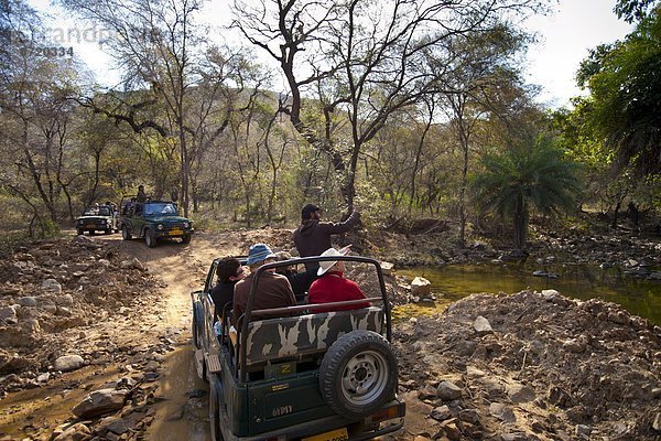 Verkehr  Tagesausflug  Tourist  Geländewagen  Suzuki  König - Monarchie  Ökologie  Zigeuner  Indien  Rajasthan  Wasserstelle