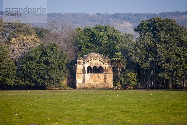 See  Lodge  Landhaus  Jagd  Rajasthan