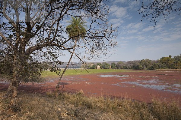 See  Lodge  Landhaus  Jagd  Rajasthan