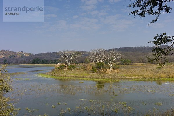 Tourist  See  Lodge  Landhaus  Jagd  Ökologie  Rajasthan