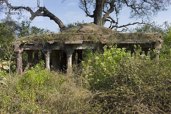 Eingang  Ruine  Lodge  Landhaus  Jagd  Rajasthan