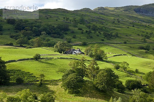 nahe  Großbritannien  Hügel  Bauernhof  Hof  Höfe  See  ambleside  Cumbria  Ortsteil