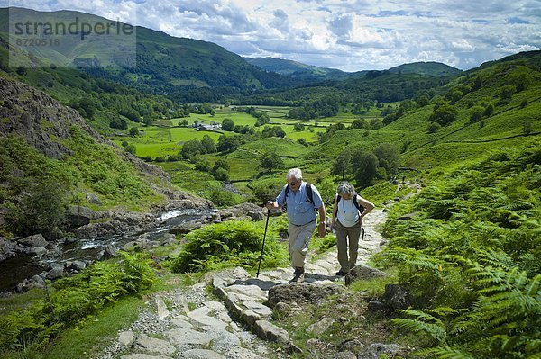 Ländliches Motiv  ländliche Motive  folgen  Großbritannien  Hügel  Tourist  See  Natur  klettern  Cumbria  Ortsteil