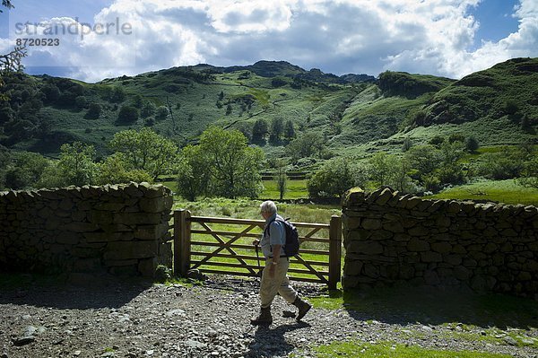 Ländliches Motiv  ländliche Motive  gehen  folgen  Großbritannien  Tourist  See  Natur  Cumbria  Ortsteil