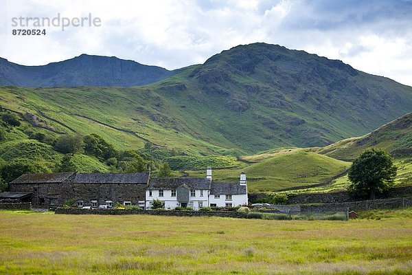 Nationalpark Großbritannien fallen fallend fällt klein Bauernhof Hof Höfe Tal See umgeben Hecht Esox lucius Cumbria Ortsteil