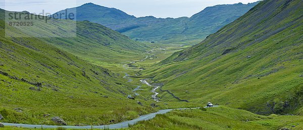 Großbritannien  See  umgeben  Hecht  Esox lucius  Cumbria  Ortsteil