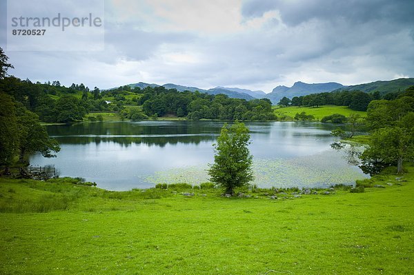 Großbritannien  See  Cumbria  Ortsteil  Tarn