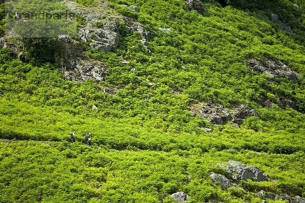 Nationalpark Gehhilfe Großbritannien See Cumbria Ortsteil