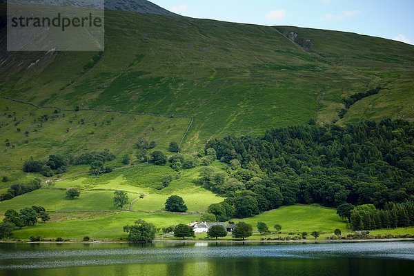 Hecht  Esox lucius  Großbritannien  fallen  fallend  fällt  Schatten  Halle  Bauernhof  Hof  Höfe  See  Cumbria  Ortsteil  Hecht  Wasdale