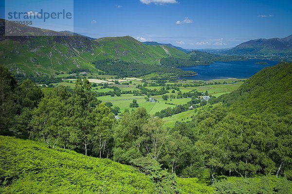 Wasser  Berg  Großbritannien  See  Ansicht  Cumbria  Derwent  Ortsteil