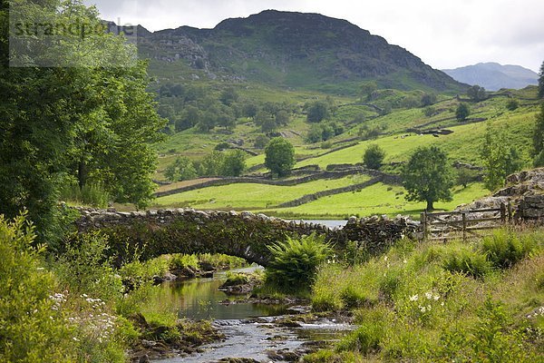 Berg  Großbritannien  See  Brücke  Lasttier  Cumbria  Ortsteil