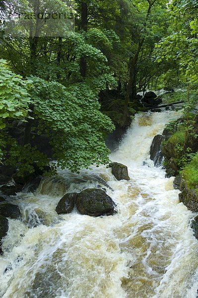Großbritannien  See  Wasserfall  Fischer  Cumbria  Ortsteil