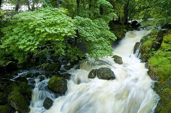 Großbritannien  See  Wasserfall  Fischer  Cumbria  Ortsteil