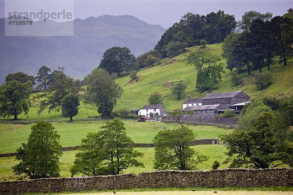 nahe  Großbritannien  See  Ansicht  Cumbria  Ortsteil  Grasmere