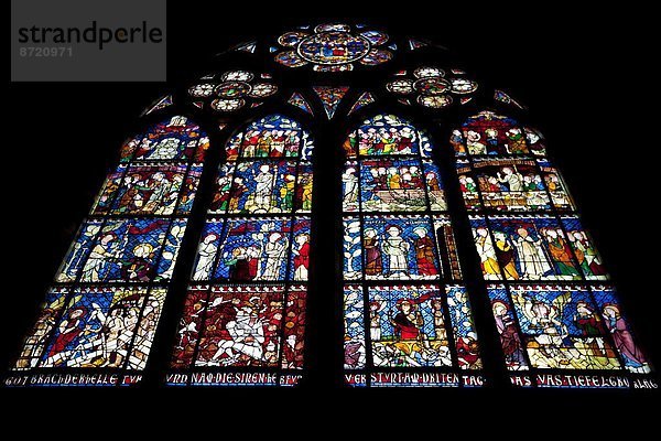 Frankreich  Fenster  Glas  Schmutzfleck  Kathedrale  Elsass